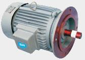 Induction Verticals Motor