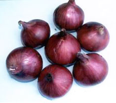 NHRDF Red Onion