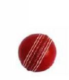 Cricket Balls