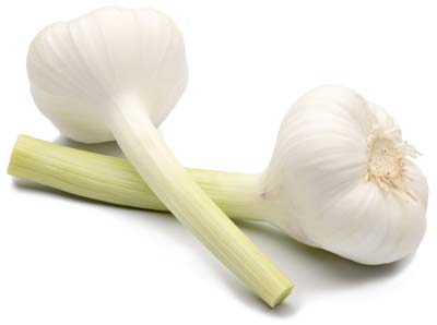 Frseh Garlic