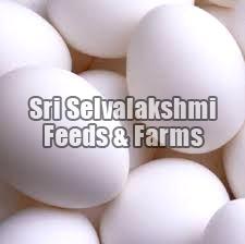 Poultry Organic Eggs