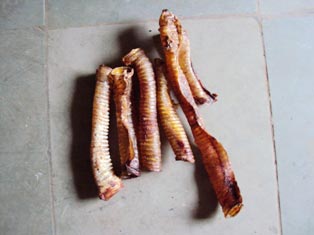 Dried Trachea