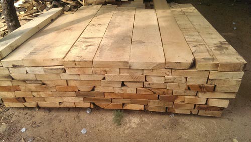 Mango Wood Planks