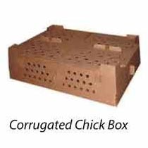 Corrugated Chick Box