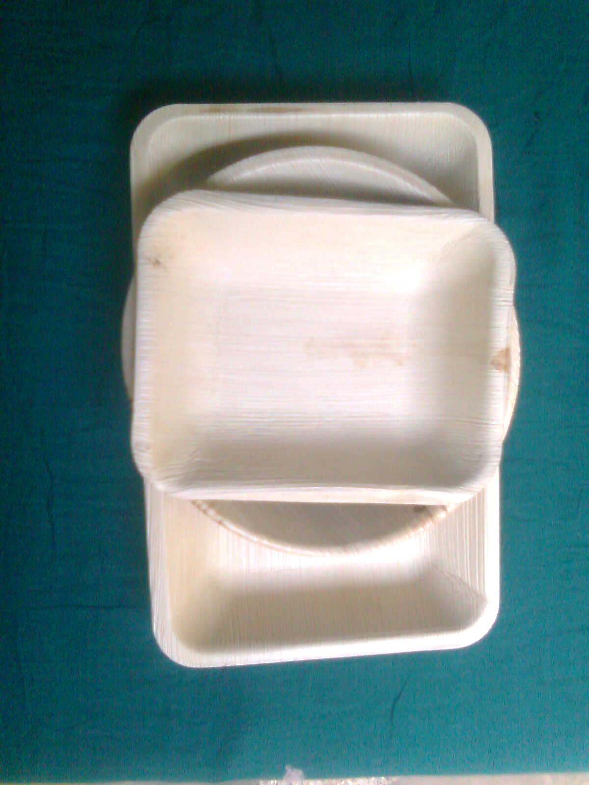 Areca leaf plates - Rectangle