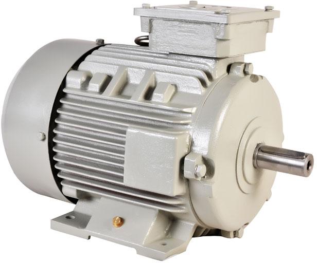 electric motor