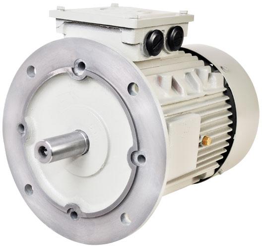 Electric Motor