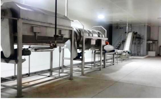 Frozen Vegetable Processing Plant Machinery