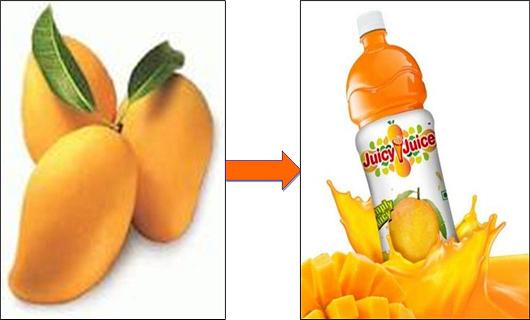 Mango Juice Processing Machinery