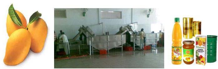 Shivaay Engineers Mango Processing Machine