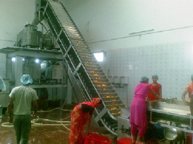 Shivaay Engineers Mango Pulp Processing Machinery