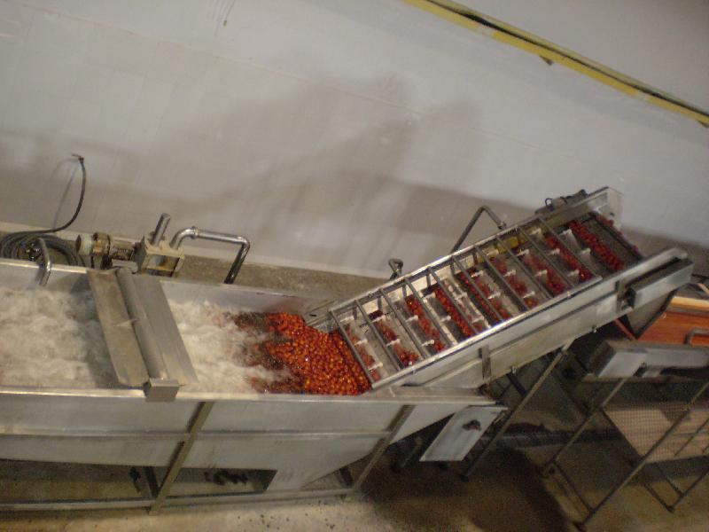 Shivaay Engineers Tomato Processing Machinery, for ketchup, sauce