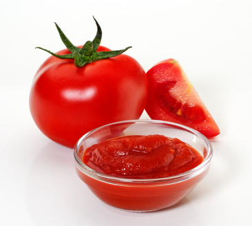Shivaay Engineers Tomato Puree Processing Machinery, for ketchup, sauce