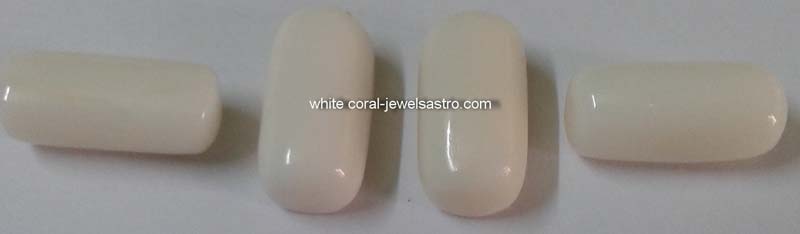 White Coral Gemstone
