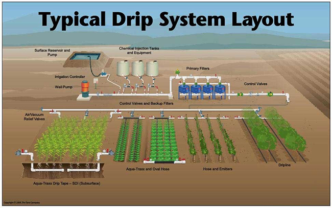 Drip Irrigation System Layout at Best Price in Ahmedabad | GokulPlast