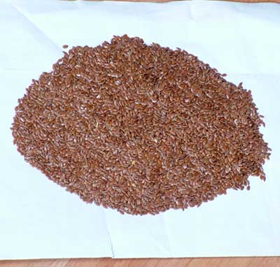 Flax Seeds