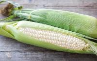 White Corn