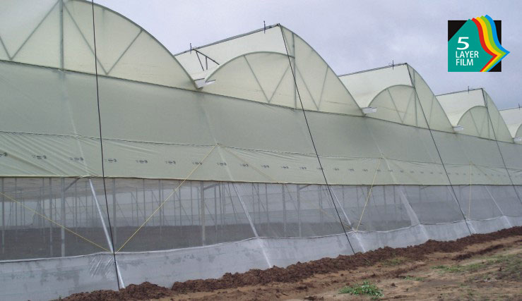 Green House Covering Films