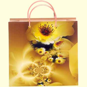 Paper Gift Bags PGB-003