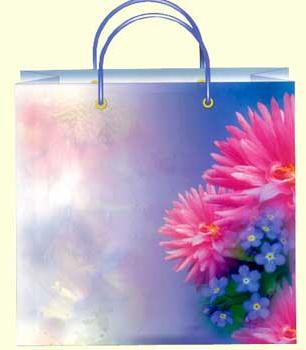 Paper Gift Bags PGB-005