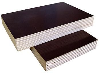 Film Mesh Plywood