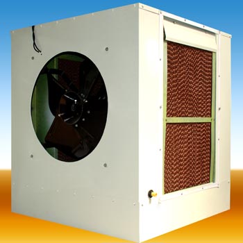 Rasika Comfort Air Cooler (R-800)