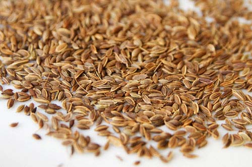 Dill Seed, Color : Brown