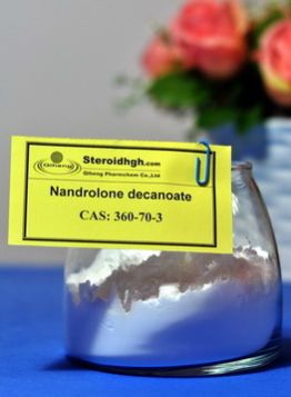 Nandrolone Decanoate