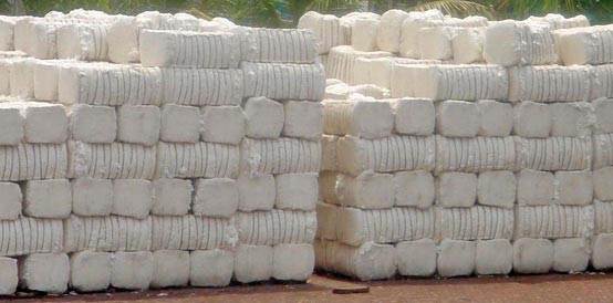 Cotton Bales at Best Price in Morbi | Asha Industries