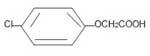 Para Chloro Phenoxy Acetic Acid