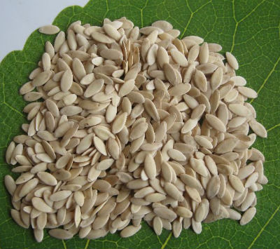 Cucumber Seeds, for Agriculture, Color : Beige