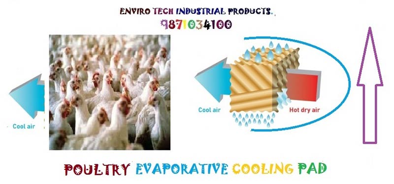 Poultry Evaporative Cooling Pad