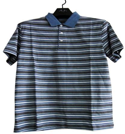 Mens Striped Polo T Shirt at Best Price in Tirupur | Evergreen Garments ...