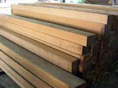 Teak Wood Logs