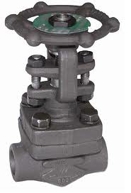 Forged Globe Valves