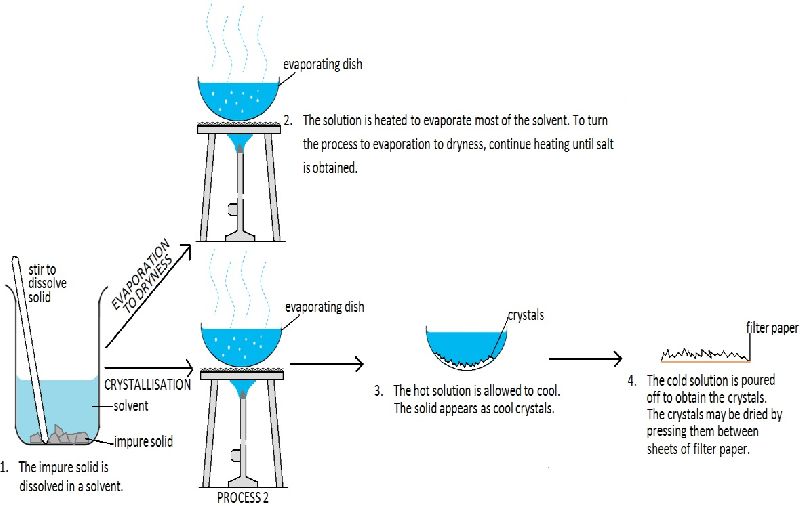 continuous evaporator