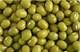 Green Mung Bean