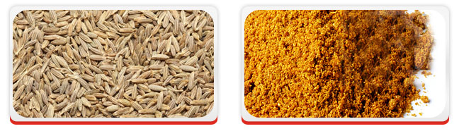 Spices- Cumin Seeds