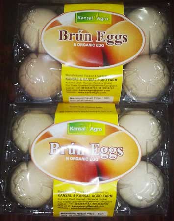 Brown Organic Eggs