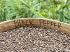 black pepper