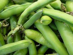 Green Beans