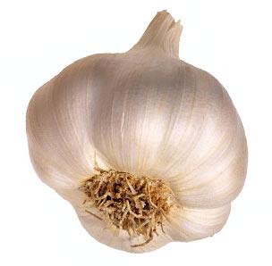 Sona Top Garlic