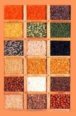 Indian Pulses