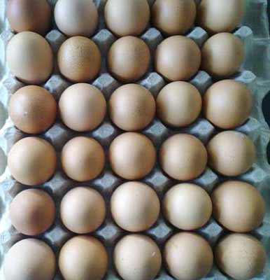 Brown Shell Eggs, for Beauty, Cooking, Facepack, Food, Style : Cooked