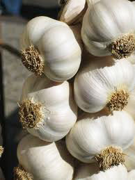 Garlic, Quality Available : B Grade