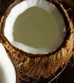 cosmetic/pharmaceutical grade, MCT, virgin coconut oil