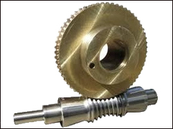 Worm Gear