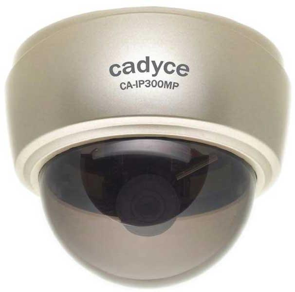 Dome Internet Camera