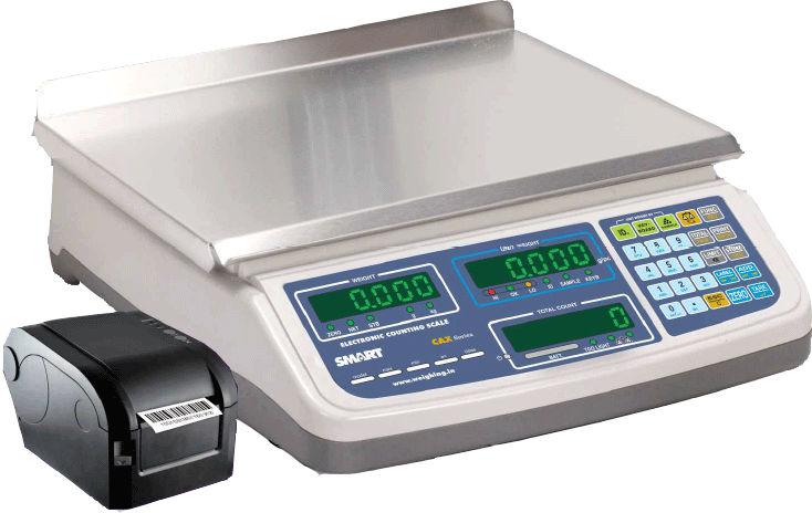 POS Counting Scales