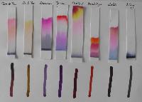 chromatography papers